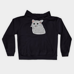 Crying Cat Kids Hoodie